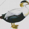 Abstract Common Eider Diamond Painting