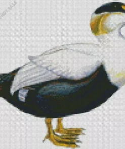 Abstract Common Eider Diamond Painting