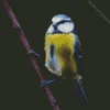 Adorable Blue Tit Diamond Painting