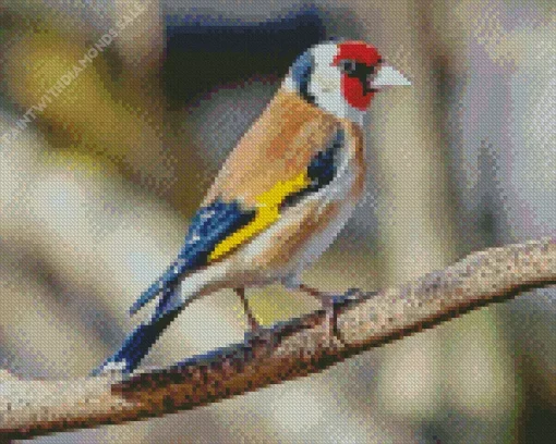 Adorable Carduelis Bird Diamond Painting