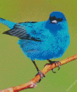 Adorable Indigo Bunting Bird Diamond Painting