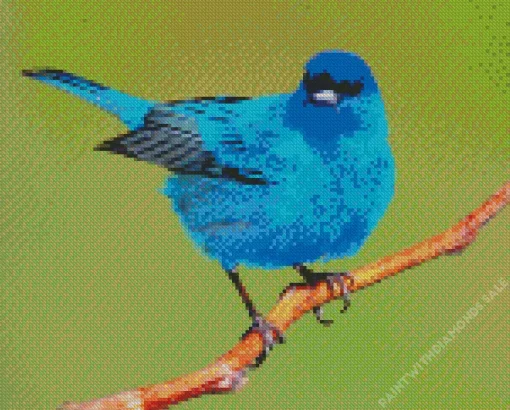 Adorable Indigo Bunting Bird Diamond Painting