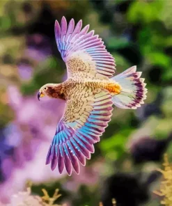 Adorable Kea Bird Diamond Painting