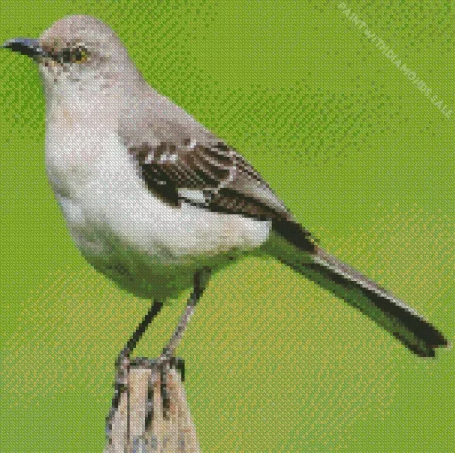 Adorable Mockingbird Diamond Painting