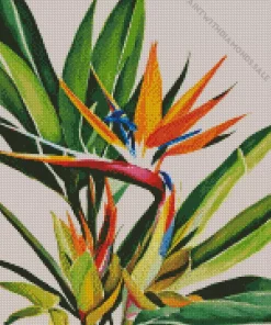 Aesthetic Bird Of Paradise Diamond Painting