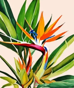 Aesthetic Bird Of Paradise Diamond Painting