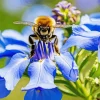 Bee On A Bluebonnet Diamond Painting