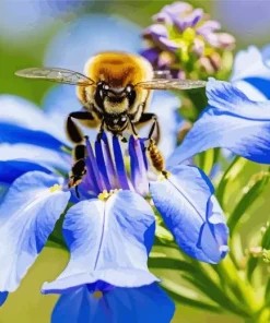 Bee On A Bluebonnet Diamond Painting