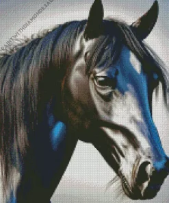 Black Arabian Horse Diamond Painting