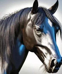 Black Arabian Horse Diamond Painting