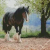 Black Shire Horse Diamond Painting