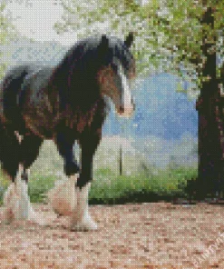 Black Shire Horse Diamond Painting