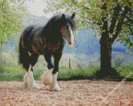 Black Shire Horse Diamond Painting