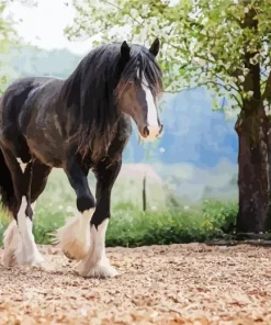 Black Shire Horse Diamond Painting