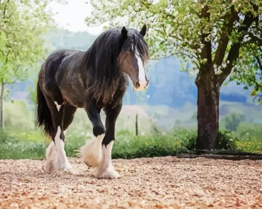 Black Shire Horse Diamond Painting