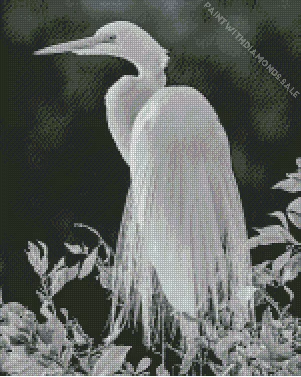black and white Great Egret Diamond By Numbers Black And White Great Egret Diamond Painting