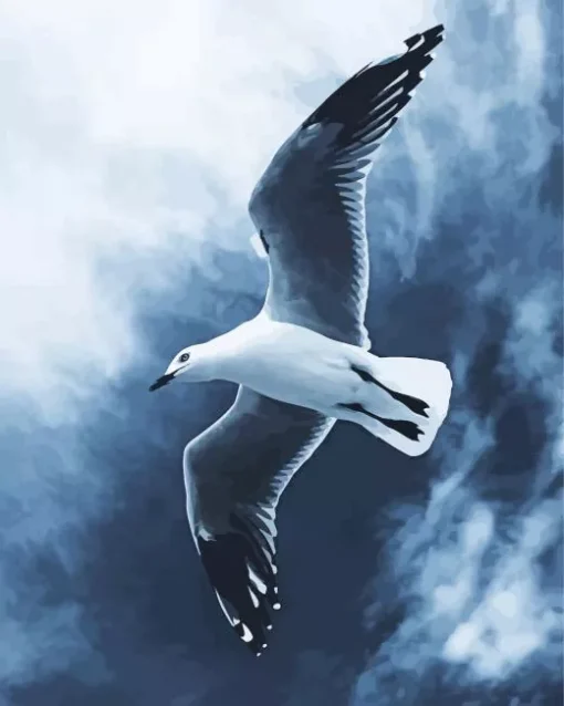 Black And White Seagull Diamond Painting