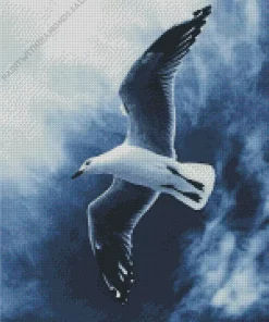 Black And White Seagull Diamond Painting