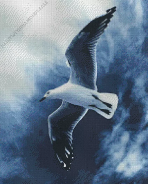 Black And White Seagull Diamond Painting