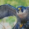 Blue Falcon Bird Diamond Painting