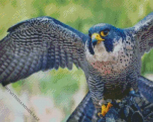 Blue Falcon Bird Diamond Painting