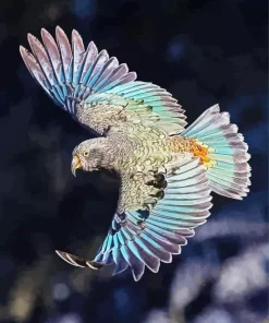 Blue Kea Bird Flying Diamond Painting