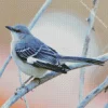 Blue Mockingbird Diamond Painting