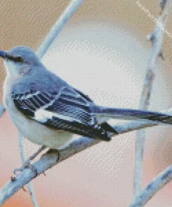 Blue Mockingbird Diamond Painting