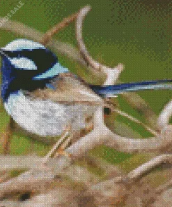 Blue Wren In Tree Branches Diamond Painting