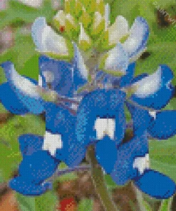 Blue And White Bluebonnet Diamond Painting