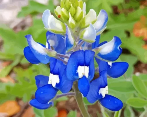 Blue And White Bluebonnet Diamond Painting