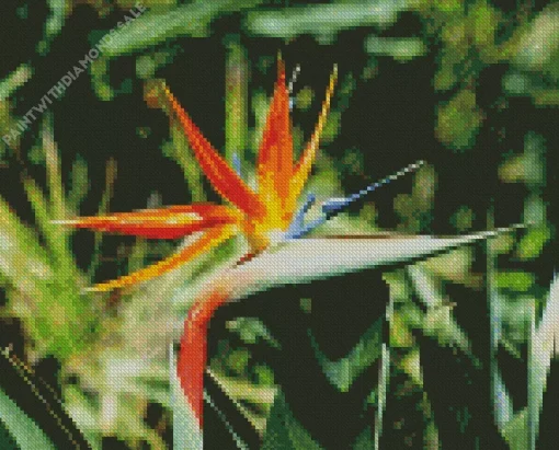 Botanical Bird Of Paradise Diamond Painting