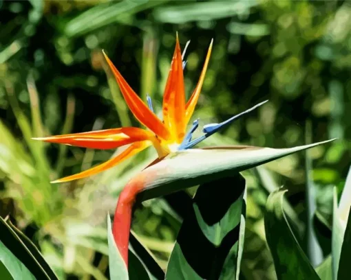 Botanical Bird Of Paradise Diamond Painting