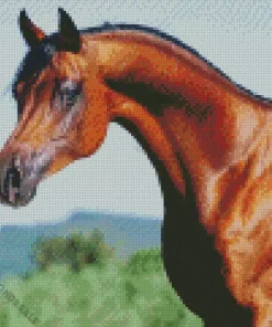 Brown Arabian Horse Diamond Painting