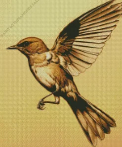 Brown Mockingbird Diamond Painting