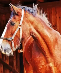 Brown Shire Horse Diamond Painting