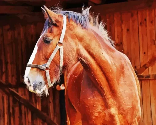 Brown Shire Horse Diamond Painting