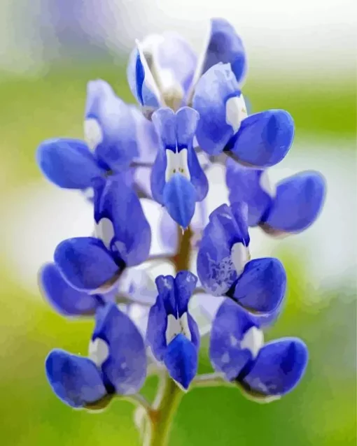 Close Up Bluebonnet Diamond Painting