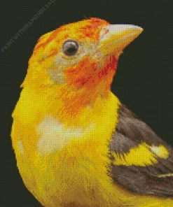 Close Up Western Tanager Bird Diamond Painting