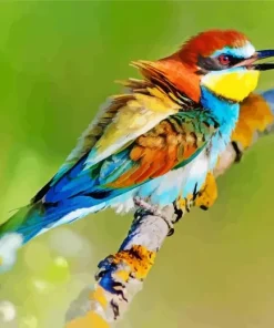 Colorful European Bee Eater Diamond Painting