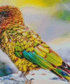 Colorful Kea Bird Diamond Painting