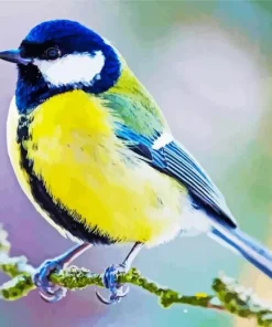 Cute Blue Tit Diamond Painting