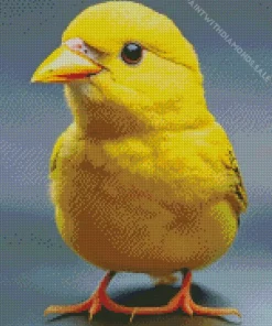 Cute Canary Bird Diamond Painting