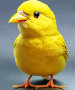 Cute Canary Bird Diamond Painting