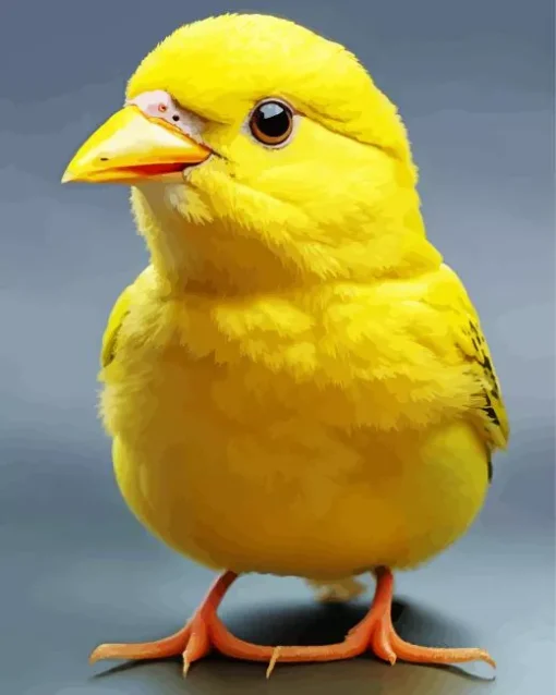 Cute Canary Bird Diamond Painting