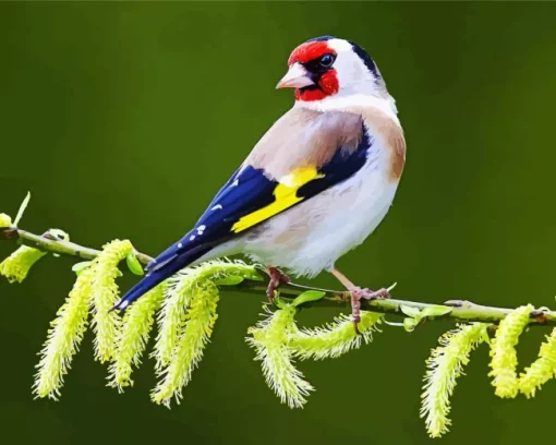 Cute Carduelis Bird Diamond Painting