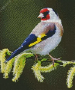 Cute Carduelis Bird Diamond Painting