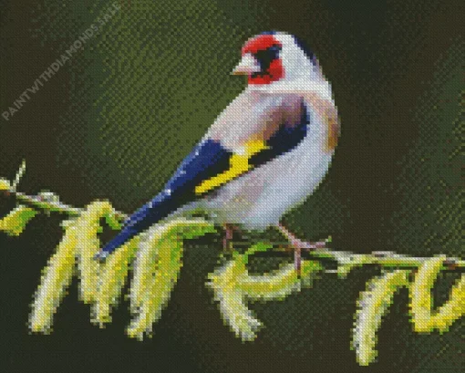 Cute Carduelis Bird Diamond Painting