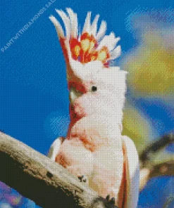 Cute Cockatoo Diamond Painting