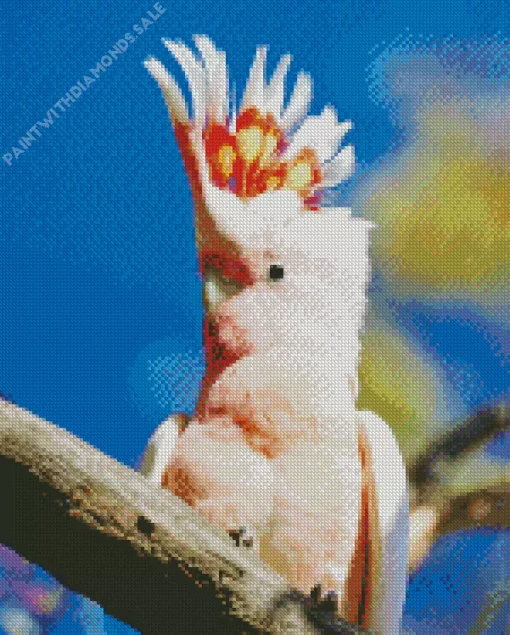 Cute Cockatoo Diamond Painting